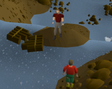 Location of Hudon during the Waterfall Quest in OSRS