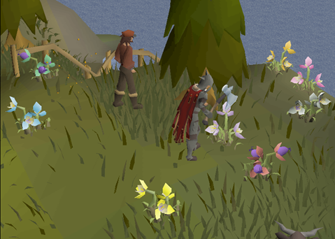 An Old School RuneScape player participating in the "Flowering Bush" event for the new Forestry update.