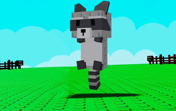 Raccoon