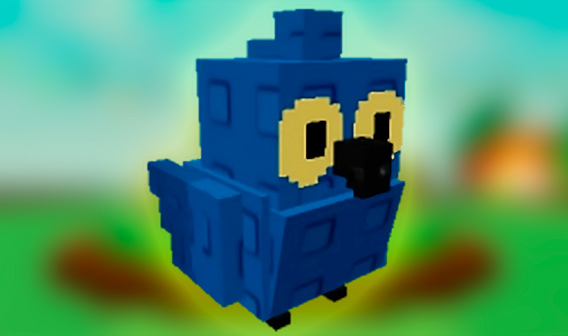 How to Get the Hyacinth Macaw