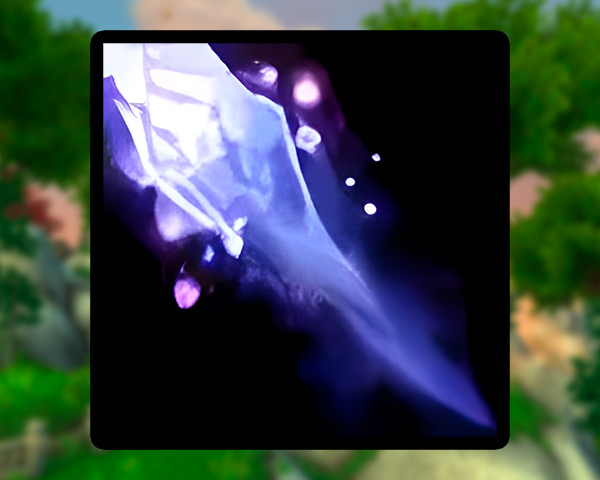 Frost Mage