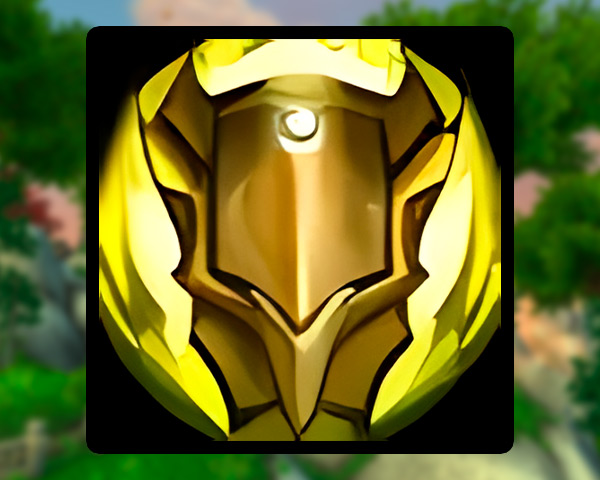 Protection Paladin