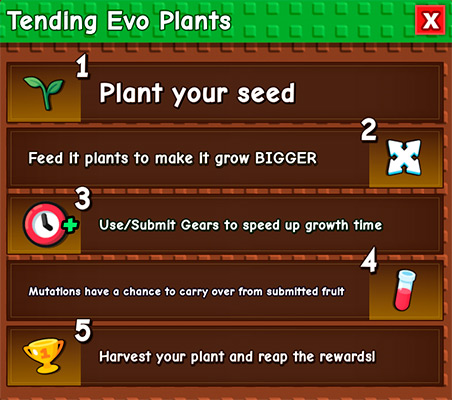 The Seed Evolution